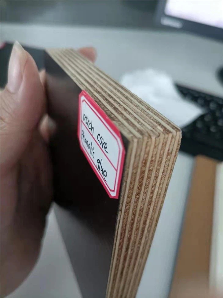 13mm Black Film Faced Plywood Construction