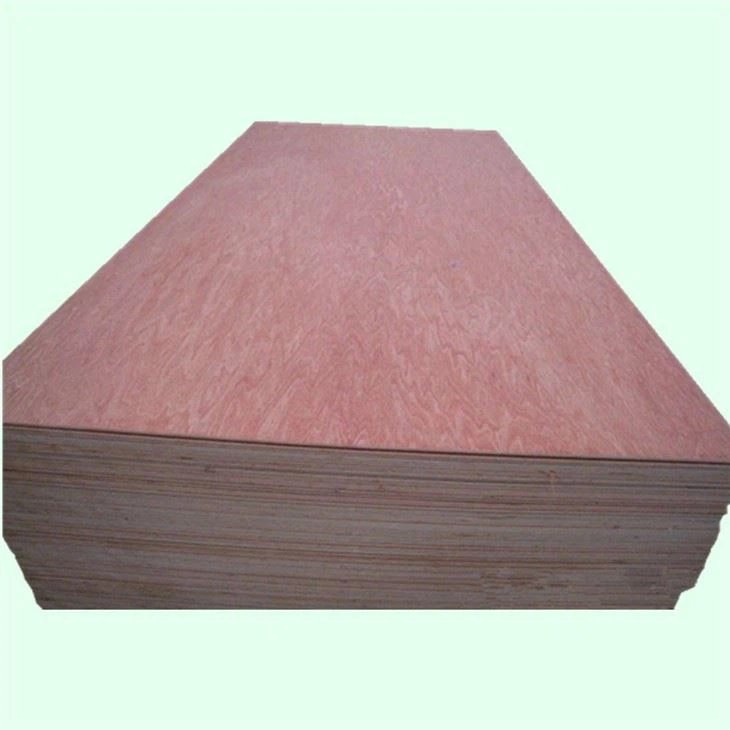 Bintangor BBCC Face Back XG Commercial Plywood