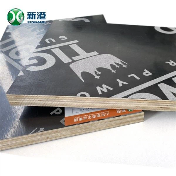 Eucalyptus Film Faced Plywood