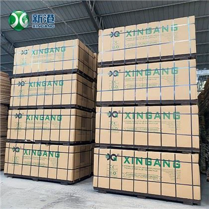 هسته اکالیپتوس رو به رو تخته سه لا