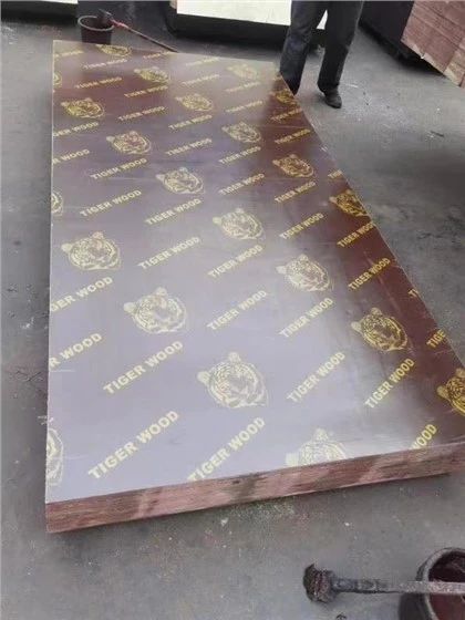Xingang Hotsale Shuttering Film Faced Plywood WBP Glue Main Pollar Marterials بهترین قیمت