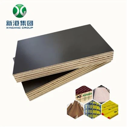 Xingang Phenolic Faced Plywood با کیفیت واقعا خوب