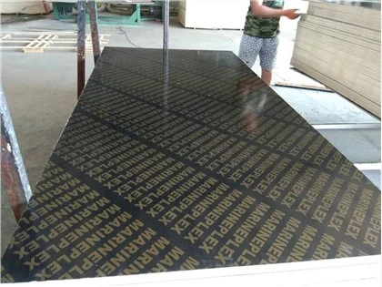 چین عرضه کننده تخته سه لا - تخته سه لا با فیلم
