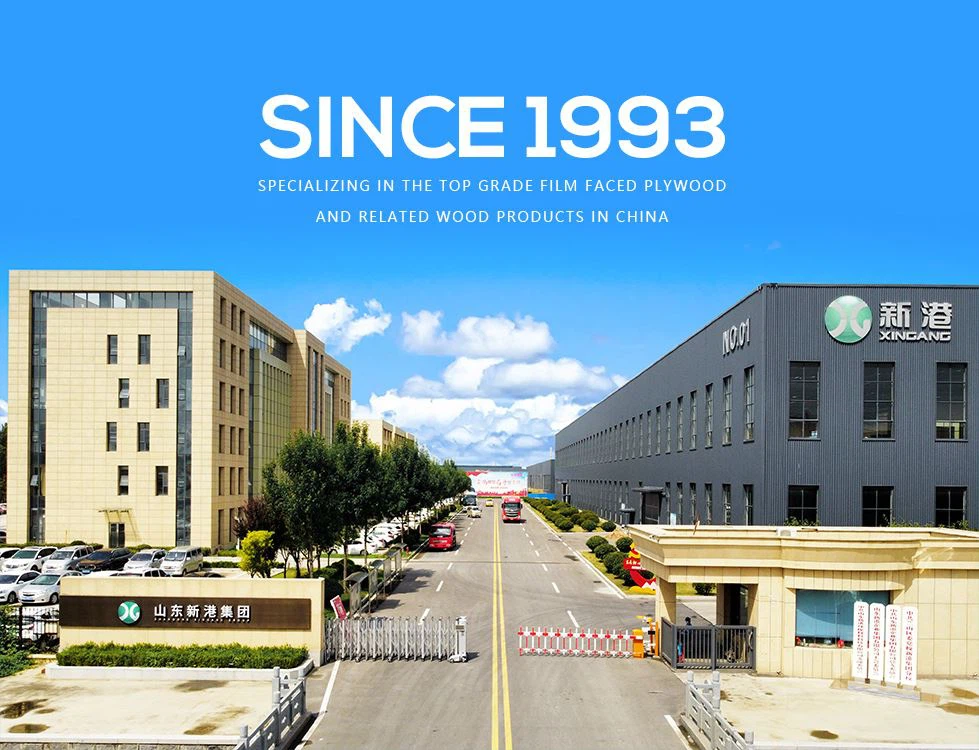 گروه شاندونگ زینگانگ