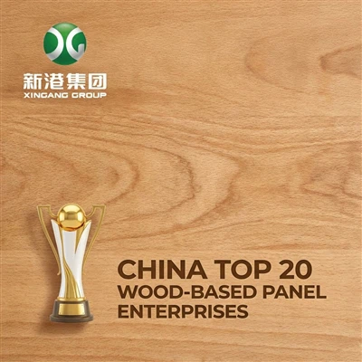 موفقیت پیروزمندانه! گروه Xingang برنده دو جایزه 10 برند برتر شد
